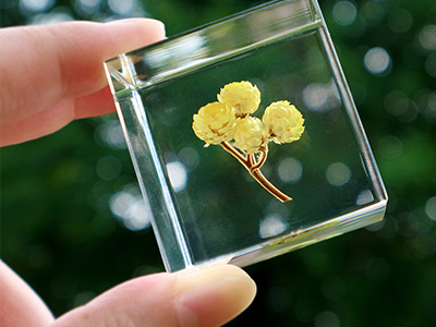 『SOLA CUBE』