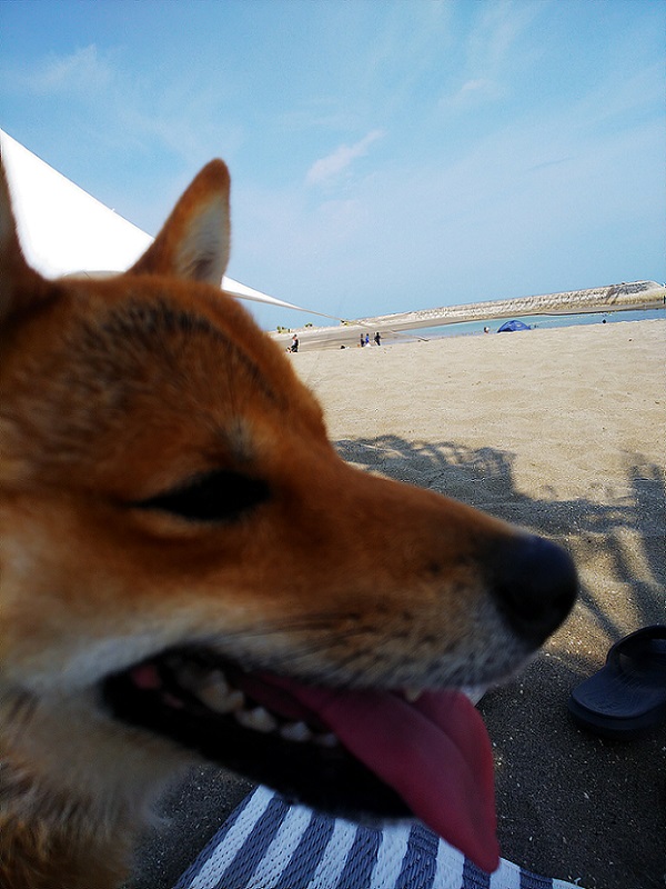 夏休み